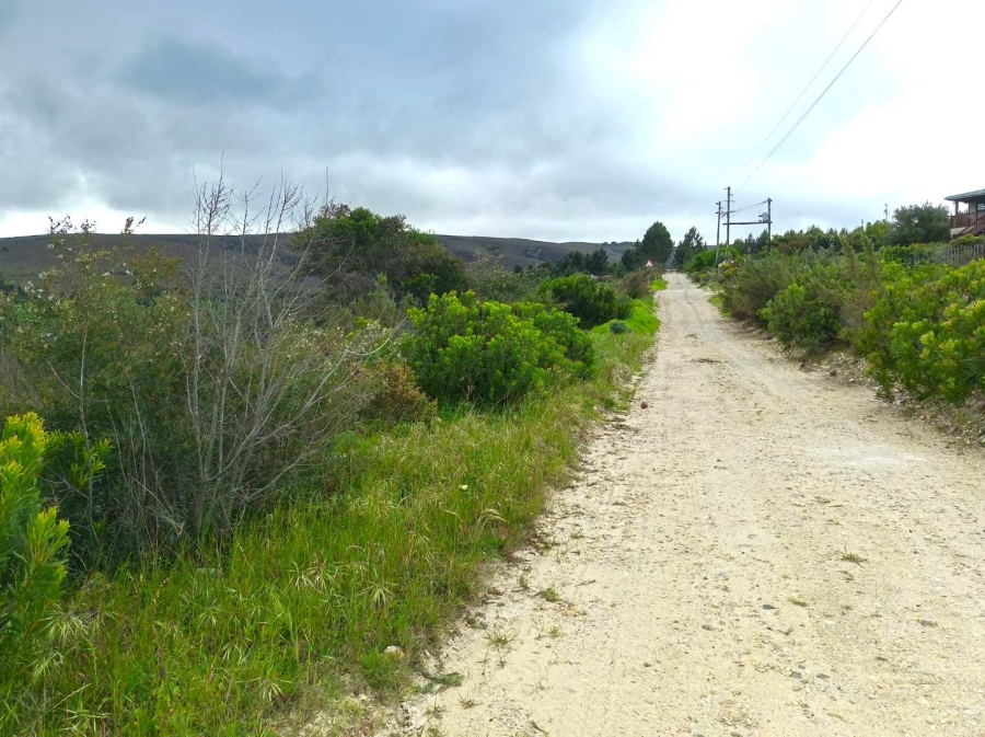 0 Bedroom Property for Sale in Baardskeerdersbos Western Cape